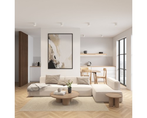 DK3090-WH Светильник накладной IP 20, 10 Вт, GU5.3, LED, белый/белый, пластик