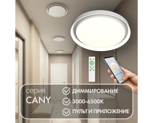 DK6516-WH Накладной светильник со встроенным светодиодом, 50W, IP 20, 3000K - 6500K, управление пульт Д/У (в комплекте) и Wi-Fi 2,4 Ггц. Эко система Smart Life, Яндекс.Алиса, белый, металл, полимер