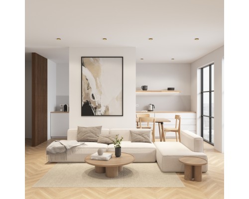 DK2402-GD Встраиваемый светильник, IP 20, 50 Вт, GU10, черный/золотой, алюминий