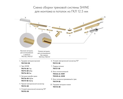 TR5739-SB Внешний блок питания для трека SHINE BASE, 150W, 48V DC, IP20, сатинированная латунь, алюминий