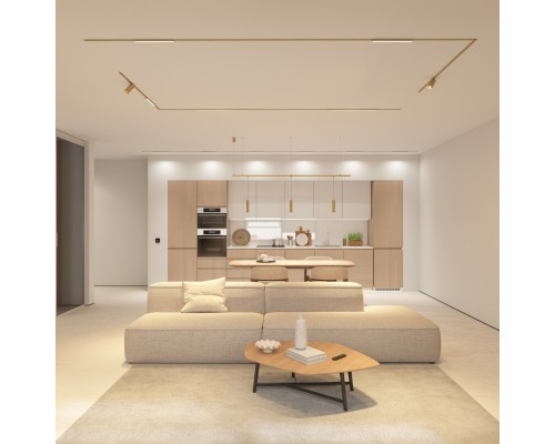 DK5944-SB Светильник трековый SHINE SPOT ZigBee, 48В, 8Вт, 2700-6000K, IP20, сатин. латунь, алюминий