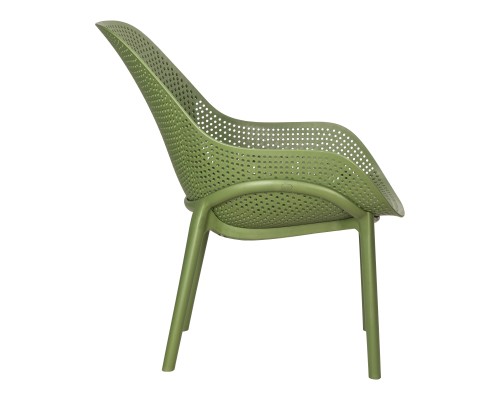 Кресло DOBRIN LONZO, зеленый хаки (G-17) c УФ-защитой