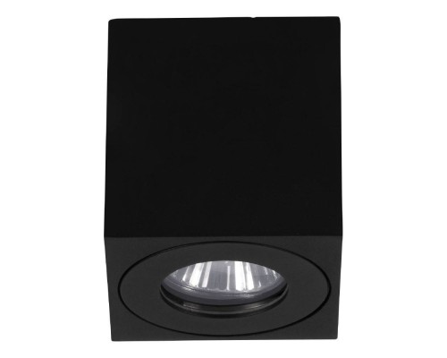 901029 Уличный потолочный светильник TORRECOLA, 1X35W (GU10), IP44, H85, алюминий, пластик, чёрный/прозрачное стекло
