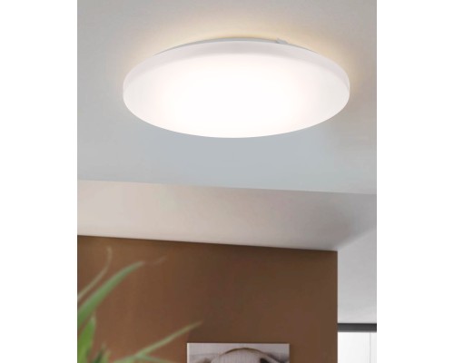 97873 Светильник настенно-потолочный светодиодный FRANIA