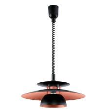 31666 Подвесной потолочный светильник (люстра) BRENDA