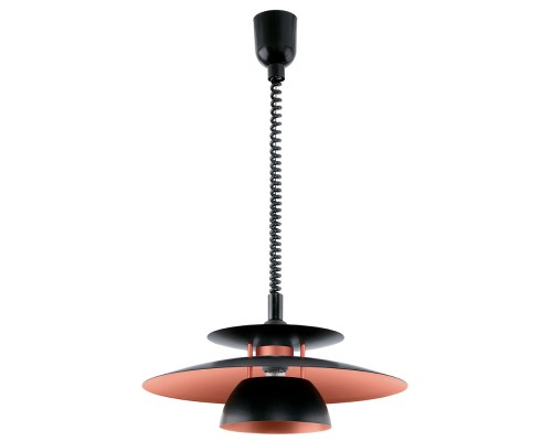 31666 Подвесной потолочный светильник (люстра) BRENDA