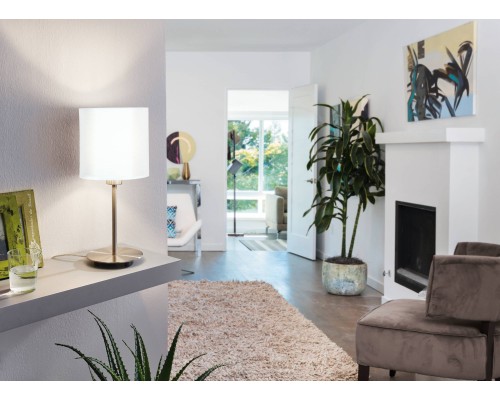 95725 Настольная лампа PASTERI