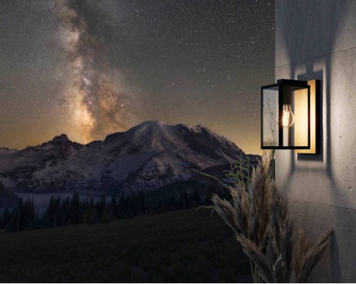 900289 Уличный настенный светильник BUDRONE, E27, 1X40W, IP44, L120, H270, A165, сталь, дерево, черный, коричневый/стекло, прозрачный