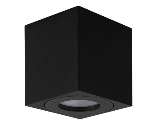 901029 Уличный потолочный светильник TORRECOLA, 1X35W (GU10), IP44, H85, алюминий, пластик, чёрный/прозрачное стекло