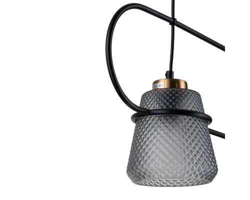 Подвесной светильник 11016/2P Black