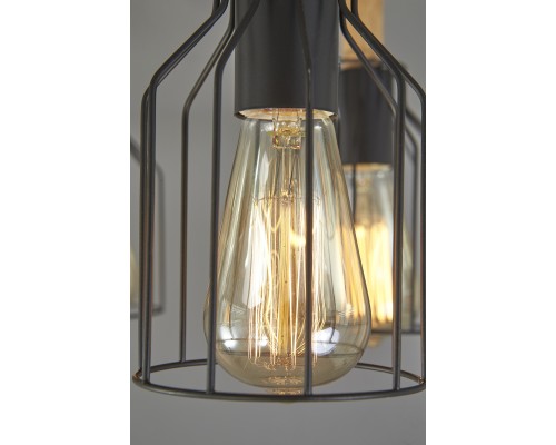 Потолочный светильник Escada 469/3PL E27*60W Black