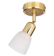 Спот Escada 5039/1PA E14*40W Gold/White