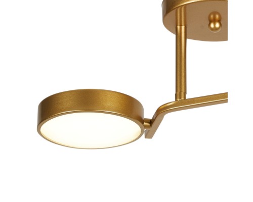 Потолочный светильник Escada 10273/2 LED*24W Champagne gold