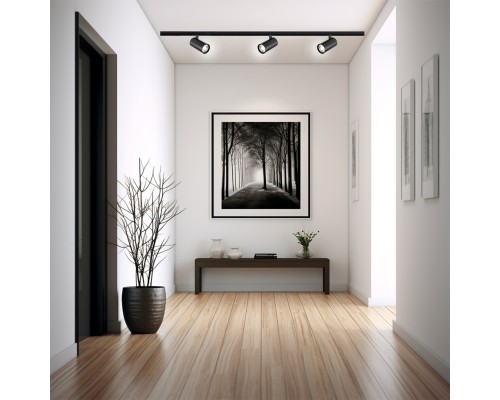 Трек Escada 20002TRA/01 LED 10W 4000K черный матовый