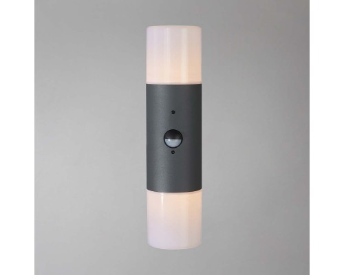 Уличный светильник Escada 534/2A E27*60W Dark grey