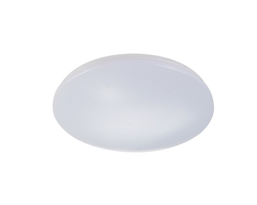 Потолочный светильник Escada 10216/SG LED*40W White APP
