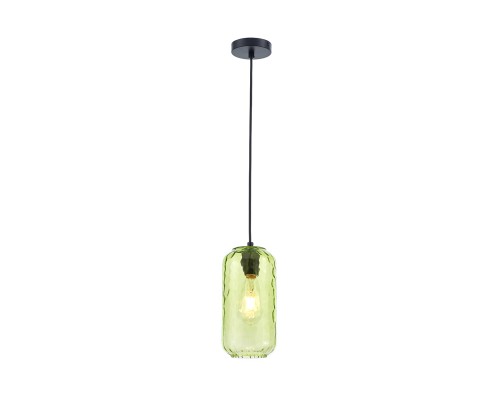 Подвесной светильник Escada 10177/1S E27*60W Black/Green