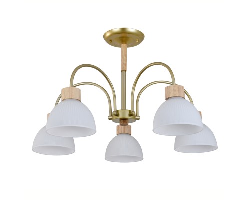 Светильник на штанге 150005/5R E27*60W Gold/Wood
