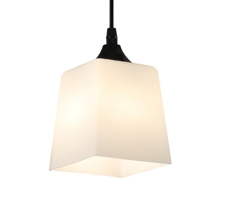 Подвесной светильник 160003/1P E27*60W Black