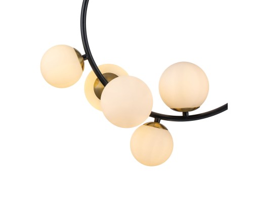 Подвесной светильник 11002/6P Black