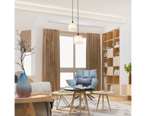 Подвесной светильник 160003/2P E27*60W Black