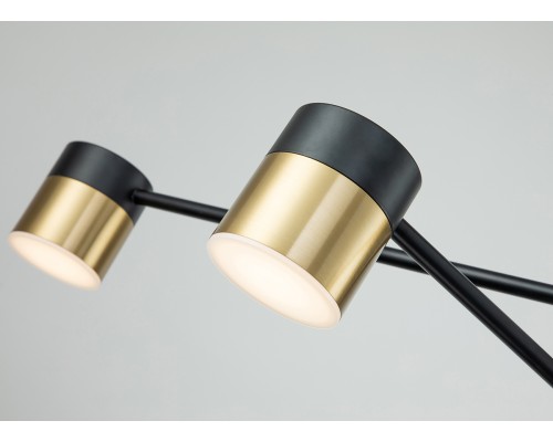 Потолочный светильник Escada 10246/6 LED*56W Black/Gold