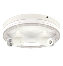 Настенно-потолочный свет Escada 20044SMA/03 LED 43W 4000K белый