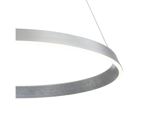 Подвесной светильник 14019/1P Silver