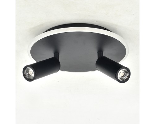 Настенно-потолочный свет Escada 20046SMA/02 LED 28W 4000K черный