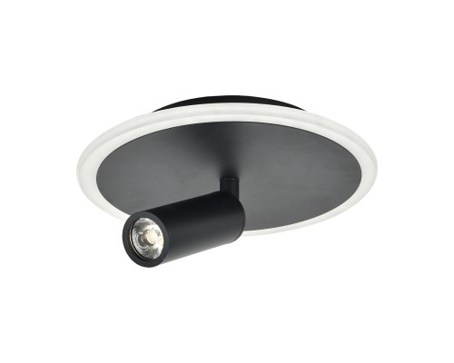 Настенно-потолочный свет Escada 20046SMA/01 LED 20W 4000K черный