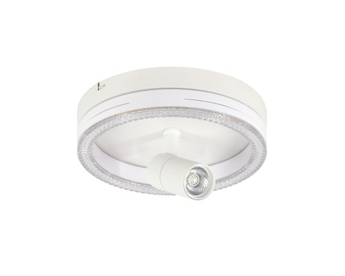 Настенно-потолочный свет Escada 20044SMA/02 LED 30W 4000K белый