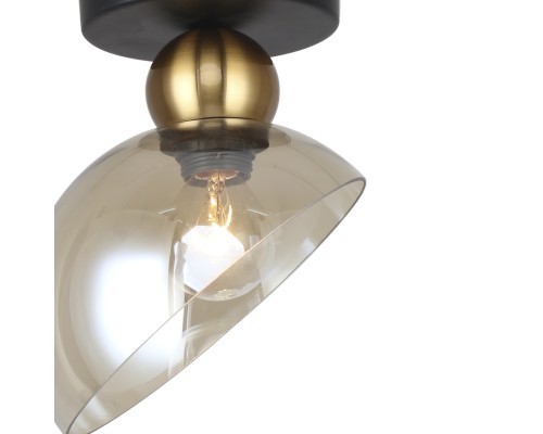 Потолочный светильник Escada 2109/1P E14*40W Black/Brass