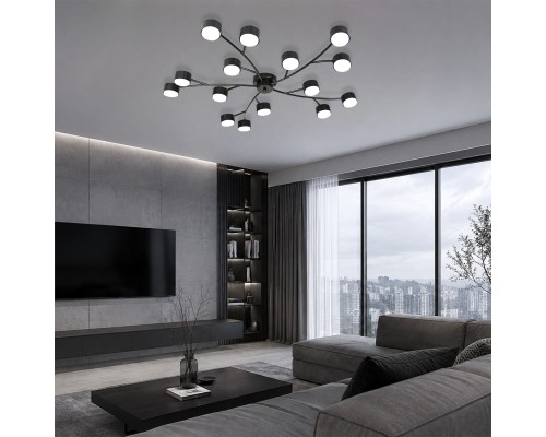 Потолочный светильник 120009/15C GX53*15W Black