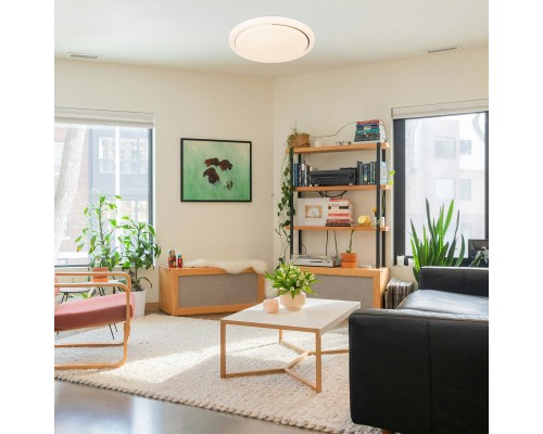 Потолочный светильник Escada 10227/SG LED*48W White APP