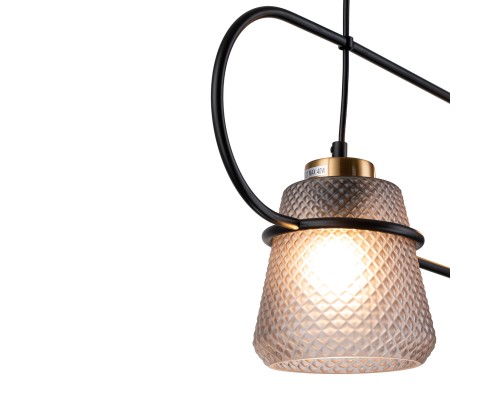 Подвесной светильник 11016/2P Black