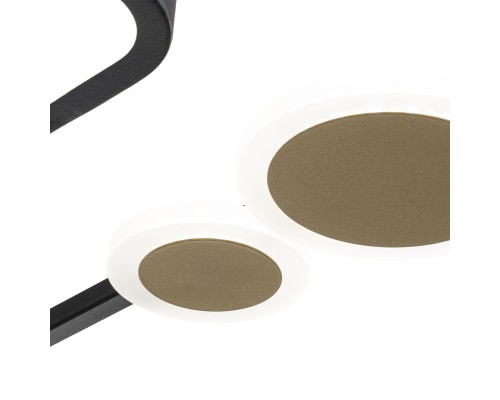 Потолочный светильник Escada 10225/SG LED*75W Black/Gold