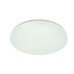 Потолочный светильник Escada 10216/SG LED*40W White APP