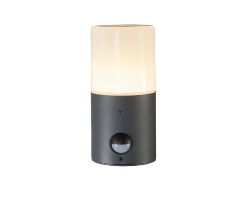 Уличный светильник Escada 581/1A E27*60W Dark grey