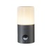 Уличный светильник Escada 581/1A E27*60W Dark grey