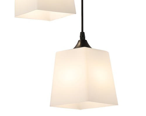 Подвесной светильник 160003/2P E27*60W Black