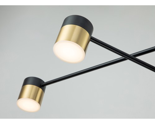 Потолочный светильник Escada 10246/6 LED*56W Black/Gold