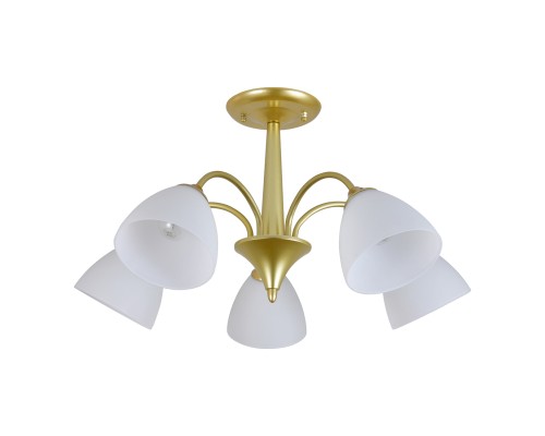 Светильник на штанге 150003/5R E27*60W Gold