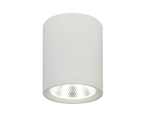 Потолочный светильник Escada 20003SMU/02 LED 12W 4200K белый матовый
