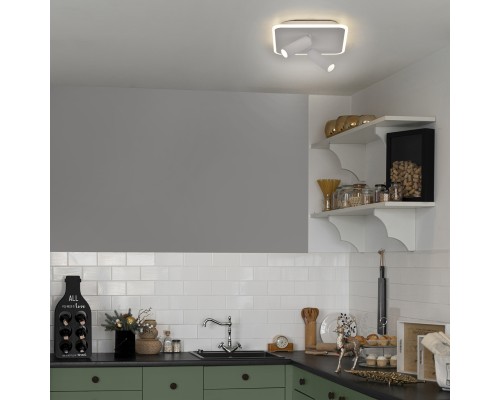 Настенно-потолочный свет Escada 20024SMA/01 LED 31W 4000K белый