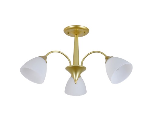 Светильник на штанге 150003/3R E27*60W Gold