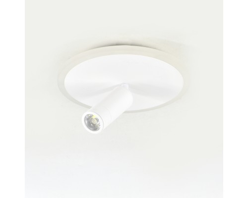 Настенно-потолочный свет Escada 20046SMA/01 LED 20W 4000K белый