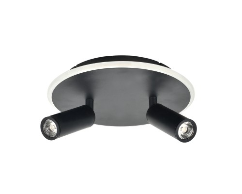 Настенно-потолочный свет Escada 20046SMA/02 LED 28W 4000K черный