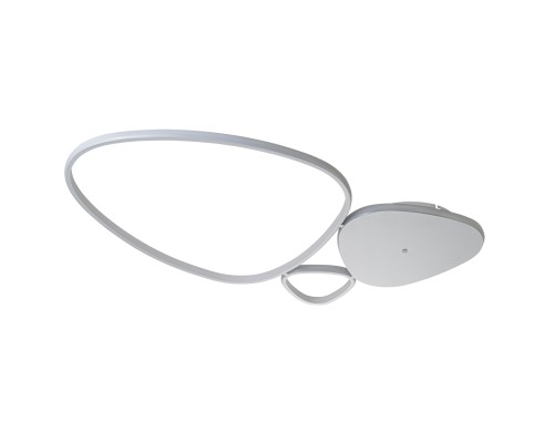 Настенно-потолочный свет Escada 10289/3 LED*81W White