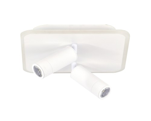 Настенно-потолочный свет Escada 20024SMA/01 LED 31W 4000K белый