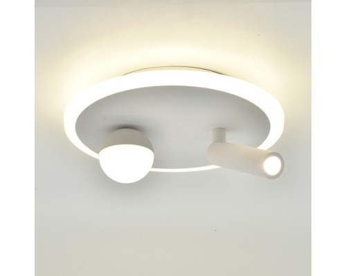 Настенно-потолочный свет Escada 20022SMA/01 LED 22W 4000K белый